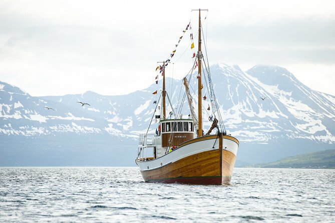 Half-Day Fishing & Fjord Cruise Adventure from Tromsø in Norway - The Arctic Cathedral from the water