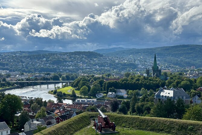 Half-Day Highlights of Trondheim by Bus and City Walk - Byåsen gives you Trondheim from above