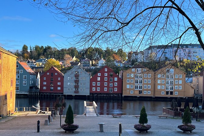 Half-Day Highlights of Trondheim by Bus and City Walk - Kristiansten Fortress and a military view of the city
