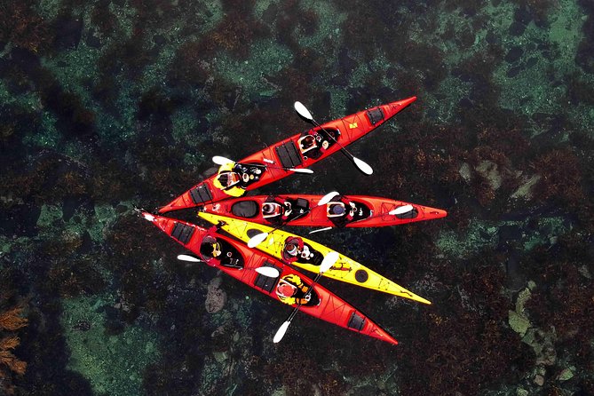 Half Day Kayak - Northern Explores AS - Key points before you paddle