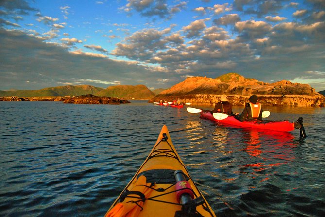 Half Day Kayak - Northern Explores AS - Birds, sea life, and stories from the guide