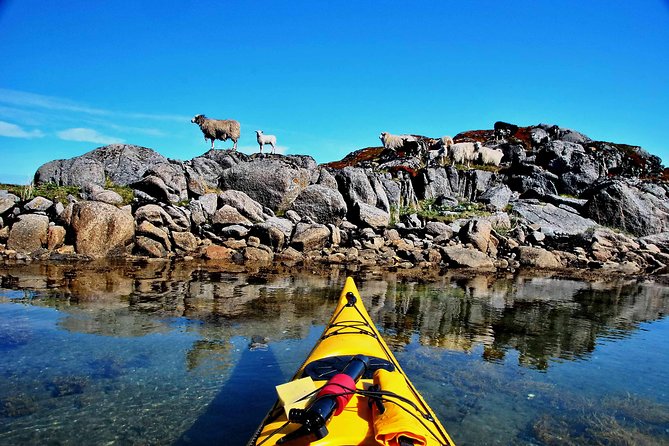 Half Day Kayak - Northern Explores AS - Who will enjoy this Eggum paddle