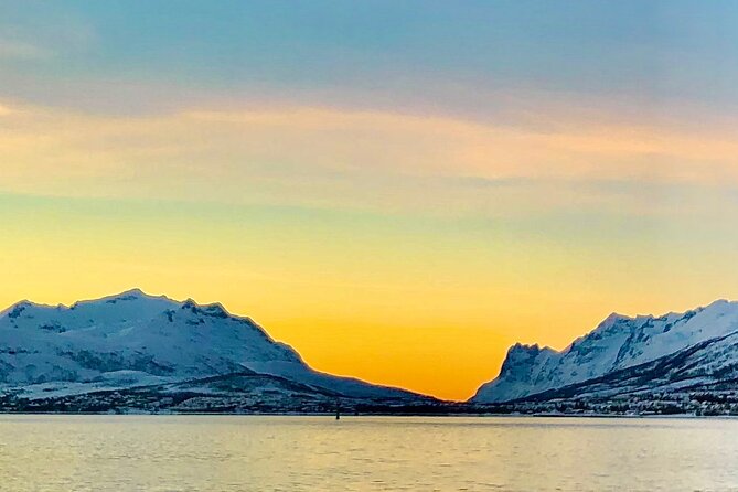 Half-Day Scenic Wildlife & Photographic Fjord Tour. - Wildlife requires patience and luck