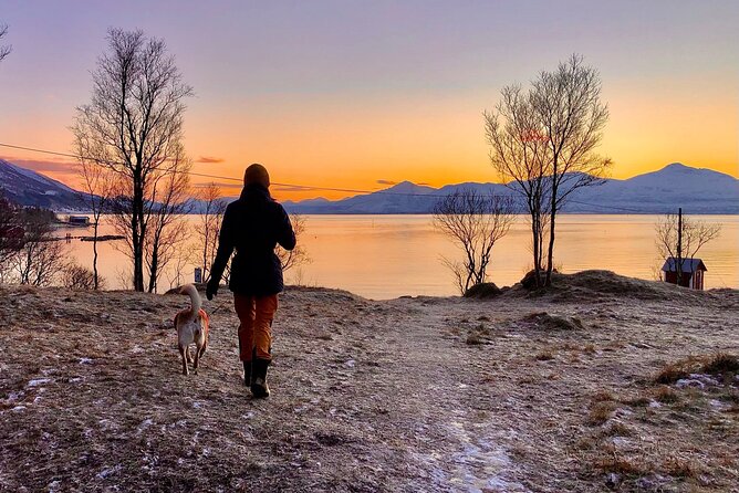 Half-Day Scenic Wildlife & Photographic Fjord Tour. - Weather, clothing, and comfort