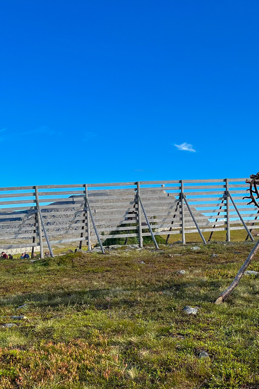 Hammerfest: Guided Tour - Meet Reindeer - Key points at a glance