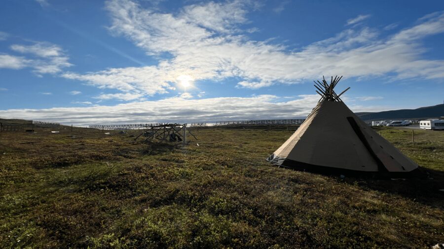 Hammerfest: Guided Tour - Meet Reindeer - Practical advice before you go
