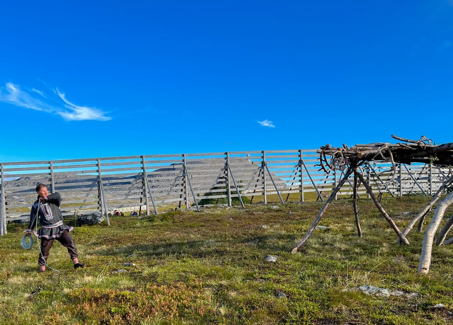 Hammerfest: Guided Tour - Meet Reindeer - Meeting reindeer above Hammerfest