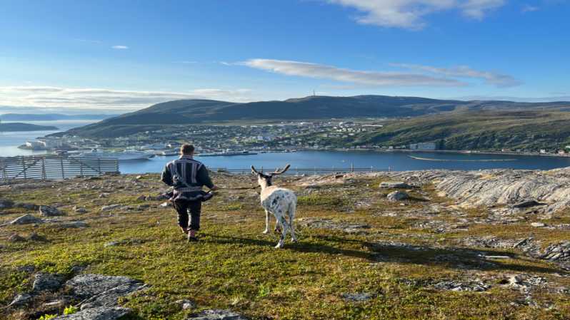 Hammerfest: Guided Tour - Meet Reindeer - What happens during the 90 minutes