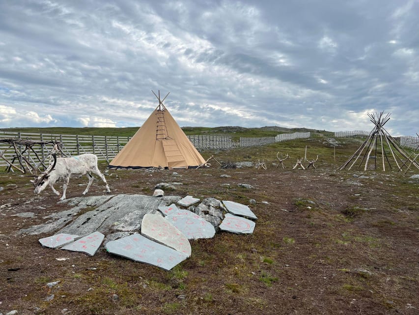 Hammerfest: Guided Tour - Meet Reindeer - Is $157 a good value?