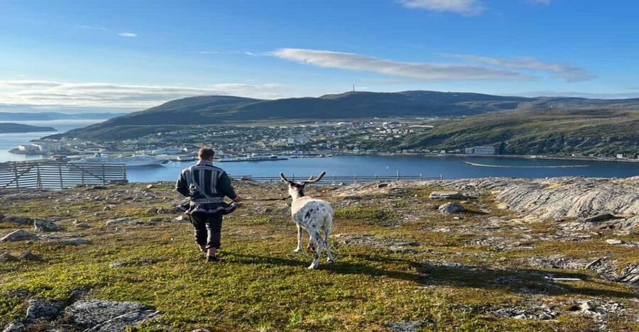 Hammerfest: Guided Tour - Meet Reindeer - Who will enjoy this experience most