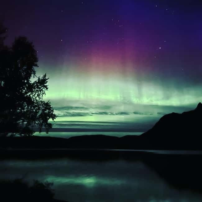 Harstad/Narvik/Tjeldsund: Northern Lights Sightseeing by Car - Riding the fjords in a heated electric car