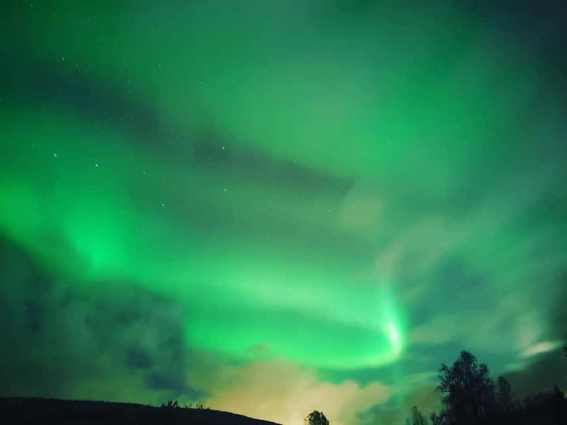 Harstad/Narvik/Tjeldsund: Northern Lights Sightseeing by Car - What the northern lights actually look like
