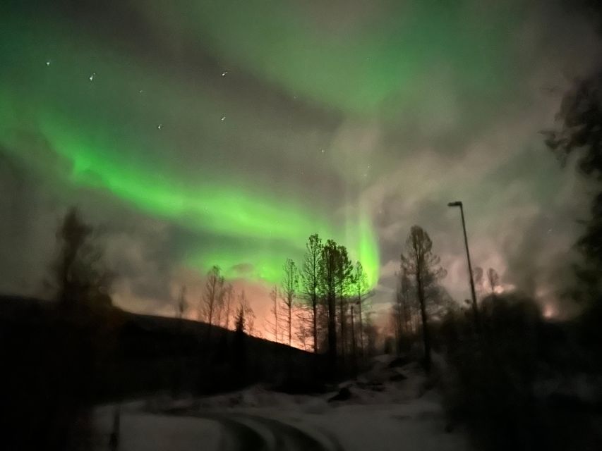 Harstad/Narvik/Tjeldsund: Northern Lights Sightseeing by Car - How much value do you get for $215?
