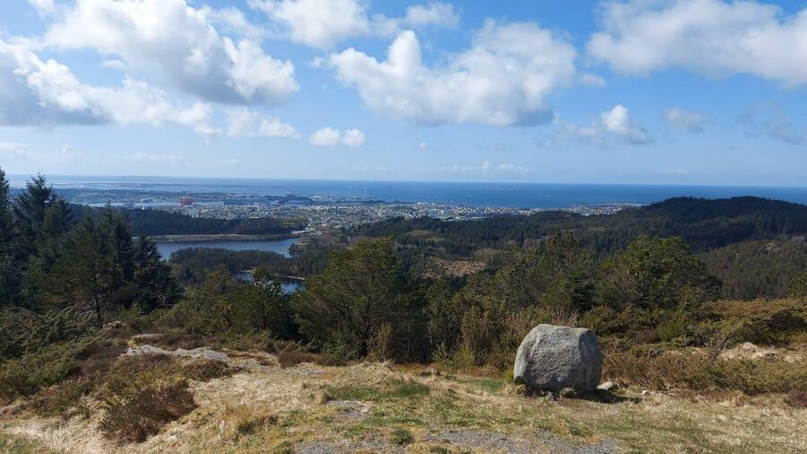 Haugesund: Guided Scenic Minibus tour of Haugesund - Haugesund City Hall and the town’s story