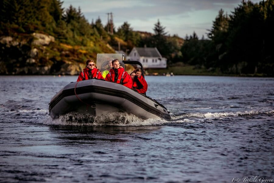 Haugesund: RIB Safari to the island communities - Feøy and the island communities
