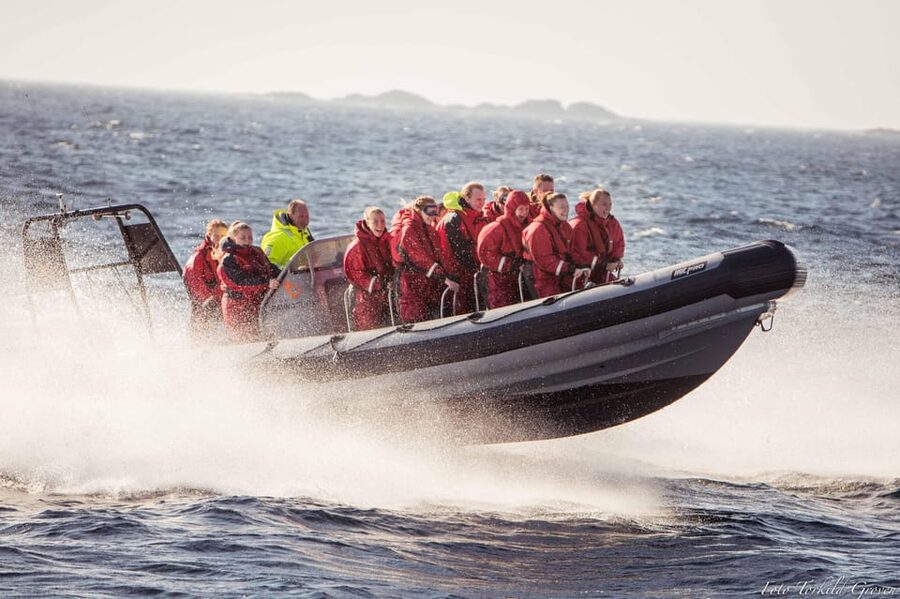 Haugesund: RIB Safari to the island communities - What two hours really means
