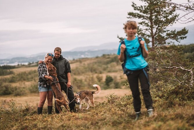 Husky Hike and Puppy Visit with Lunch - Key points to know before booking
