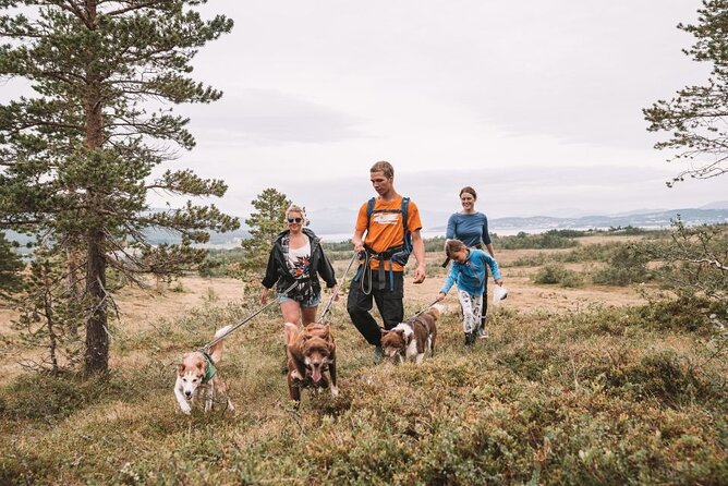 Husky Hike and Puppy Visit with Lunch - Getting ready for wet Arctic ground
