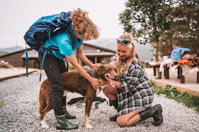 Husky Hike and Puppy Visit with Lunch - What the $175.96 price includes