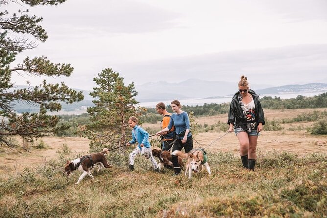 Husky Hike and Puppy Visit with Lunch - Leaving Tromsø at 9:30 in the morning