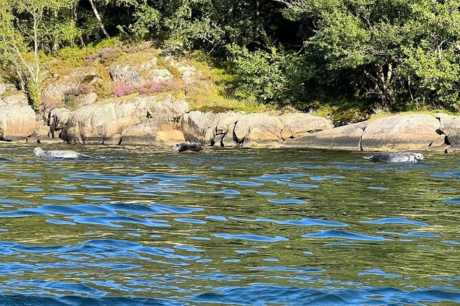 Inshore fishing in the Drangefjord - Why the private format matters