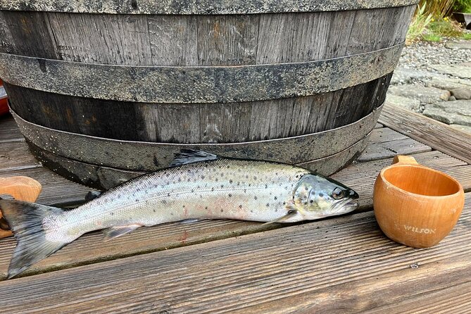 Inshore fishing in the Drangefjord - Timing, weather, and booking details