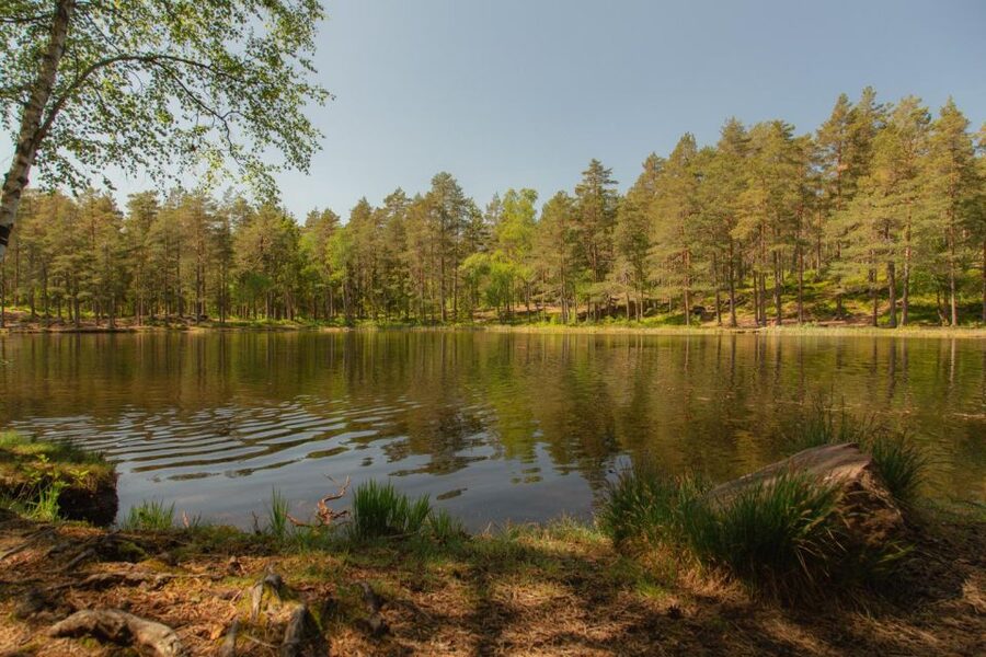 Lake walk and campfire - From Backstube Opera to Oslo’s forest edge