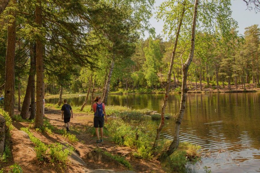 Lake walk and campfire - Practical details that can shape your day