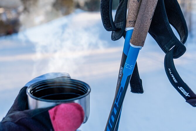 Learn Nordic Skiing - Private Class with Professional Instructor - Dima and the Value of One-to-One Instruction