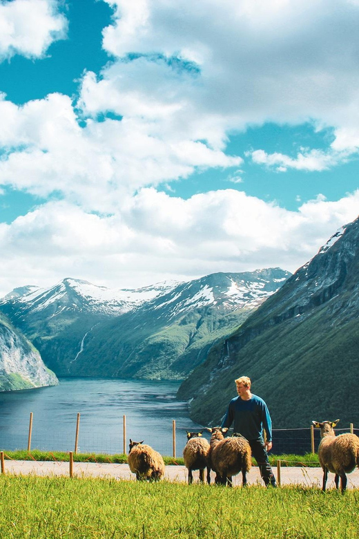 Ljøen, Hellesylt: Ljøen Farm Tour - Waffles with a view