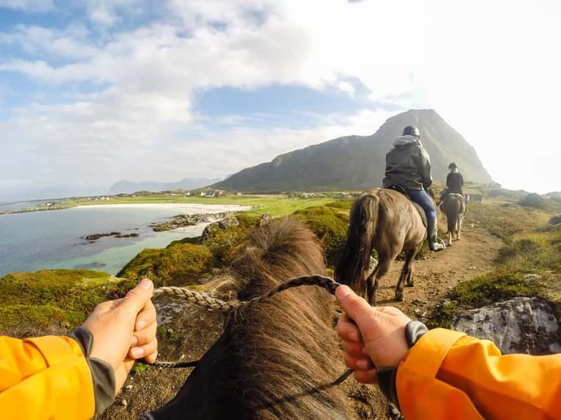 Lofoten: Guided Horse Riding Tour Over Hov and Hovsund - Key points to know before you book