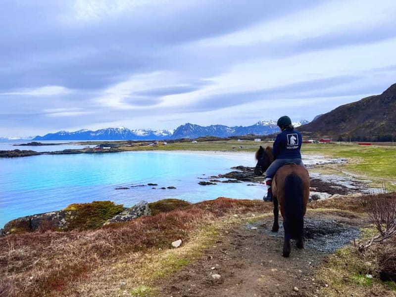 Lofoten: Guided Horse Riding Tour Over Hov and Hovsund - Looking for sea eagles along the coast