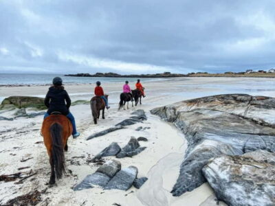 Guided Horse Riding Tour Over Hov and Hovsund