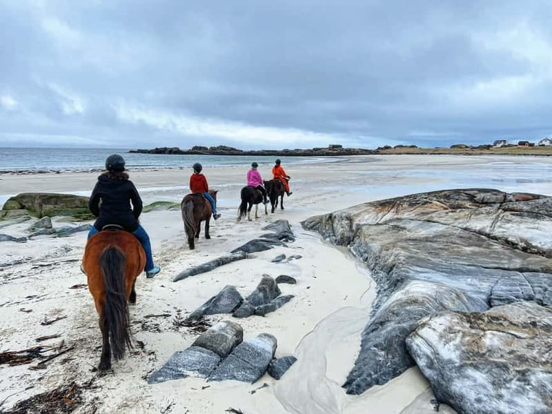 Lofoten: Guided Horse Riding Tour Over Hov and Hovsund - Crossing Hov Beach at a relaxed pace