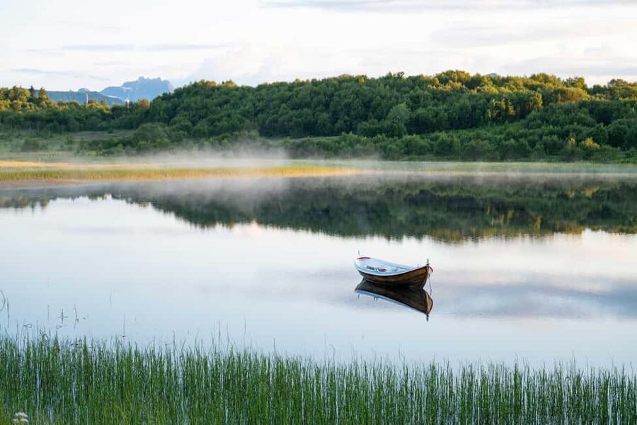 Lofoten: Half-Day Guided Tour with Photo Stops - Key points at a glance