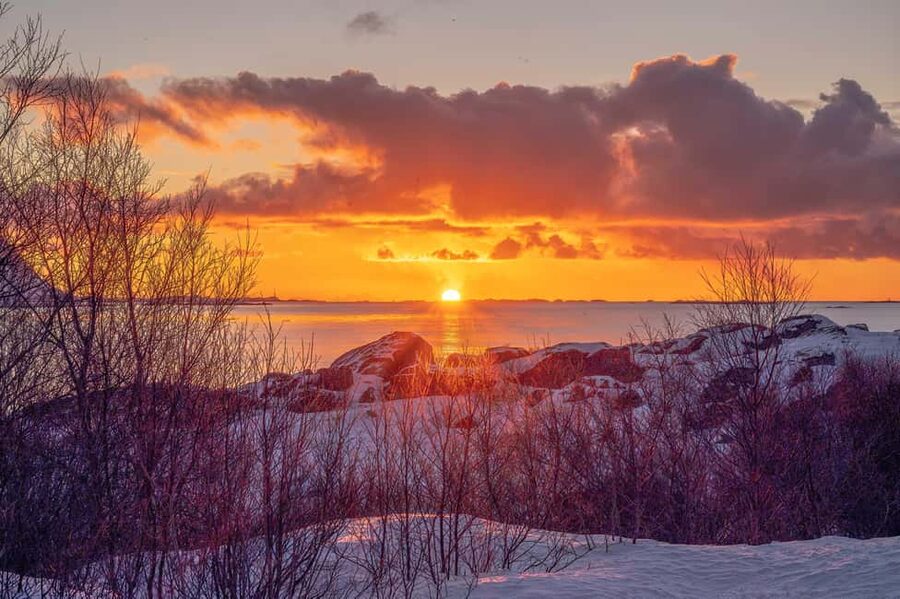 Lofoten: Half-Day Guided Tour with Photo Stops - A tour built around changing light