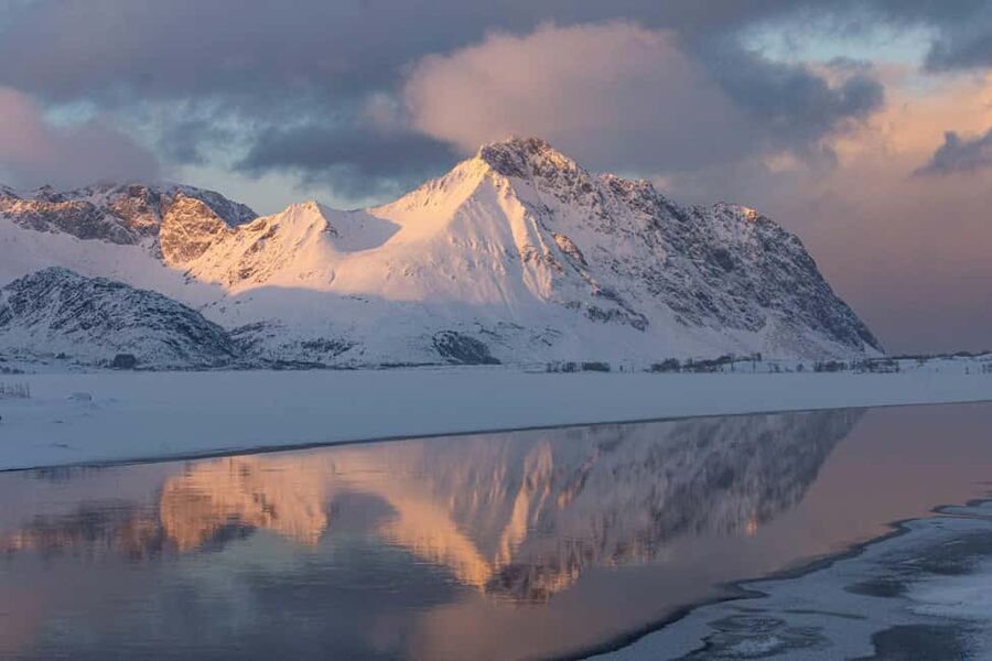 Lofoten: Half-Day Guided Tour with Photo Stops - Is the tour good value?