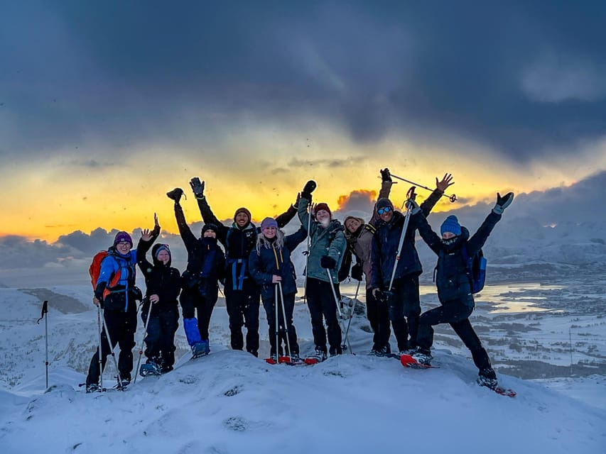 Lofoten: Half Day Snowshoe Tour - Key points to know before you book