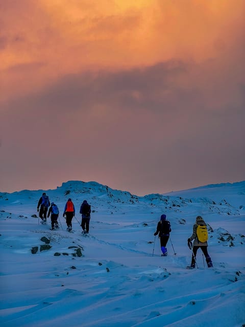 Lofoten: Half Day Snowshoe Tour - Mountain views with the coast nearby