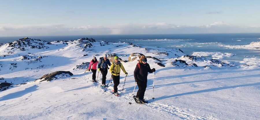 Lofoten: Half Day Snowshoe Tour - The guides make a real difference