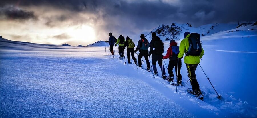 Lofoten: Half Day Snowshoe Tour - Who should book this snowshoe tour?
