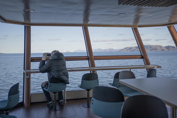 Lofoten Island: Silent Trollfjord Cruise from Svolvær - Is $144.34 good value?