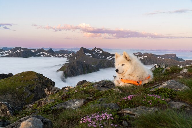 Lofoten Islands: Hiking Into the Wilderness - The value of $139.48 per person