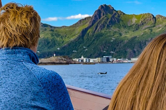 Lofoten Islands Private Midnight Sun Yacht Cruise from Svolvær - Key points at a glance