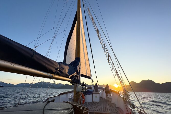 Lofoten Islands Private Midnight Sun Yacht Cruise from Svolvær - Why the Stella Oceana matters