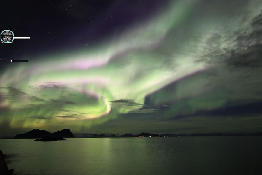 Lofoten: Northern Lights Tour with Photographer - Small group, minivan, or minibus