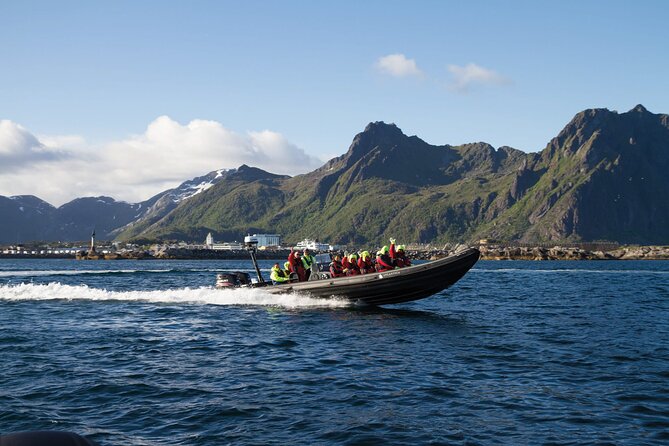 Lofoten RIB Sea Eagle Safari and Trollfjord Cruise - Key points to know before you book