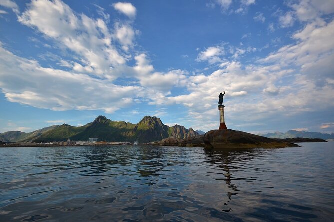 Lofoten RIB Sea Eagle Safari and Trollfjord Cruise - Comfort, clothing, and where to sit
