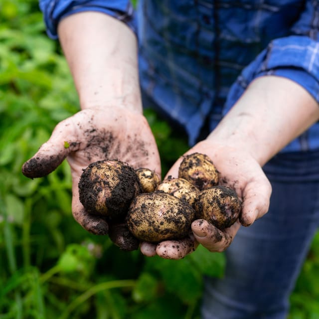Lofoten (Stamsund and Leknes): Aimees Farm Experience - A small group with a warm, personal tone