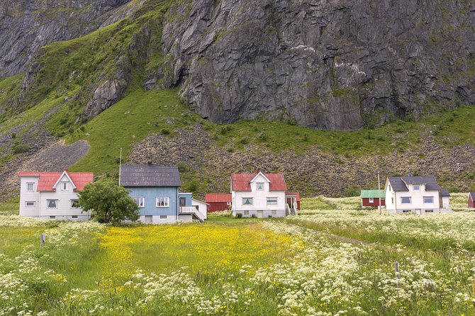 Lofoten Summer Panoramic Tour - The guides can make the ride far more than transport